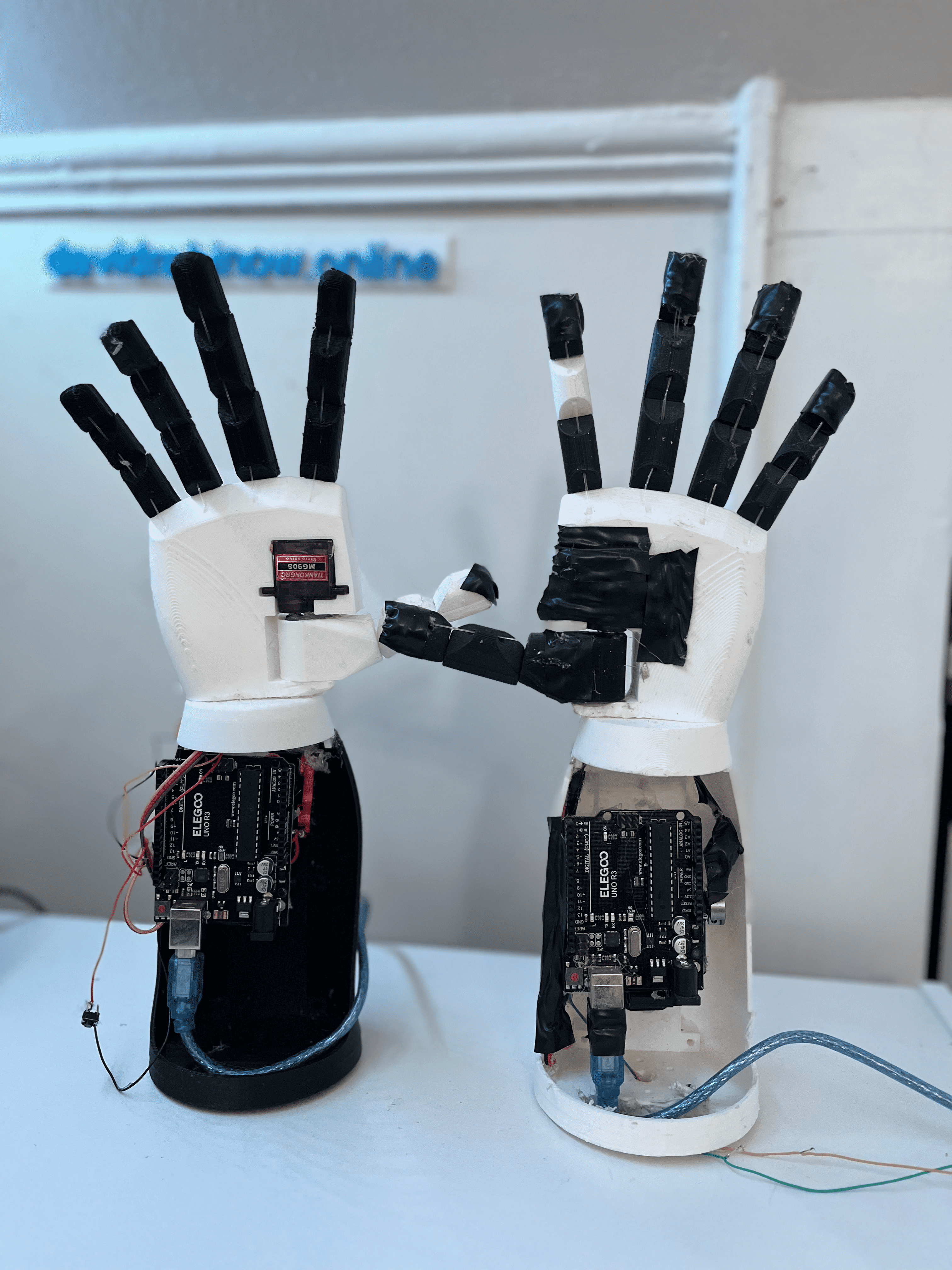 Bionic Arm